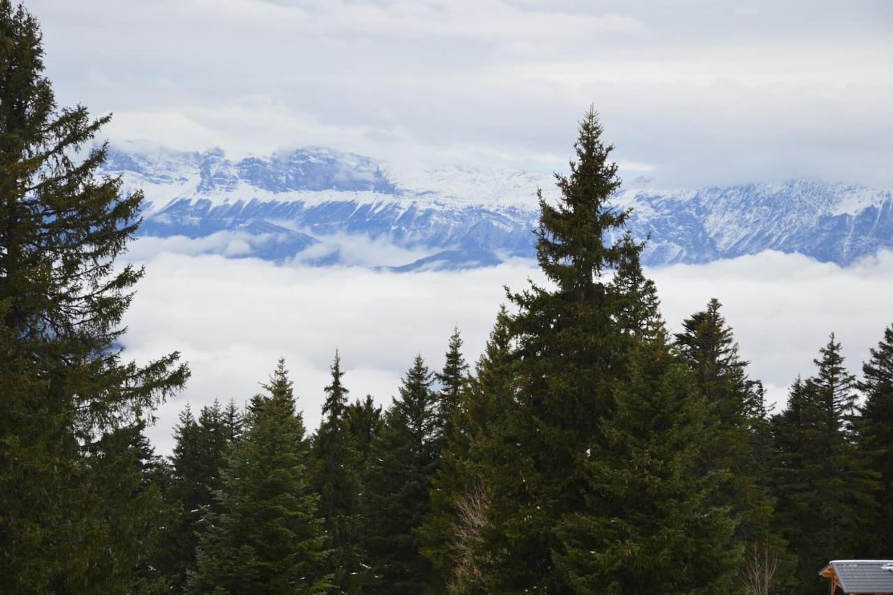Appartement Cocoon à 100 M Des Pistes *