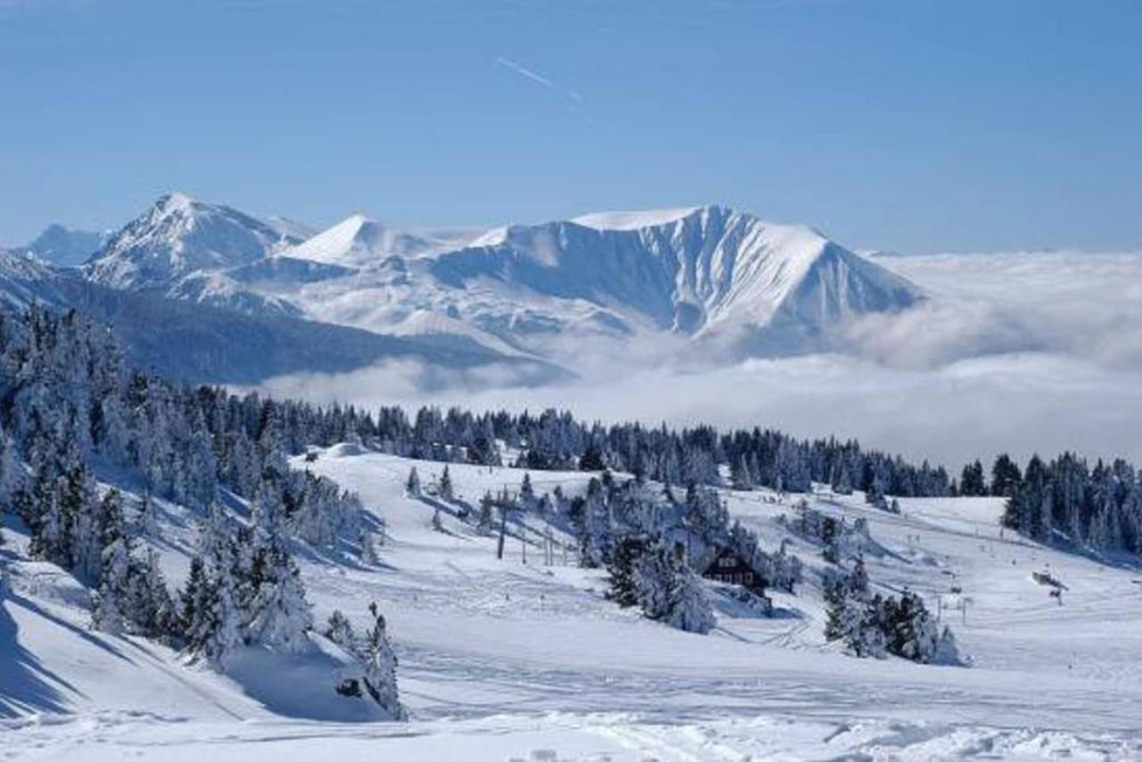 Cocoon à 100 M Des Pistes Appartement Chamrousse