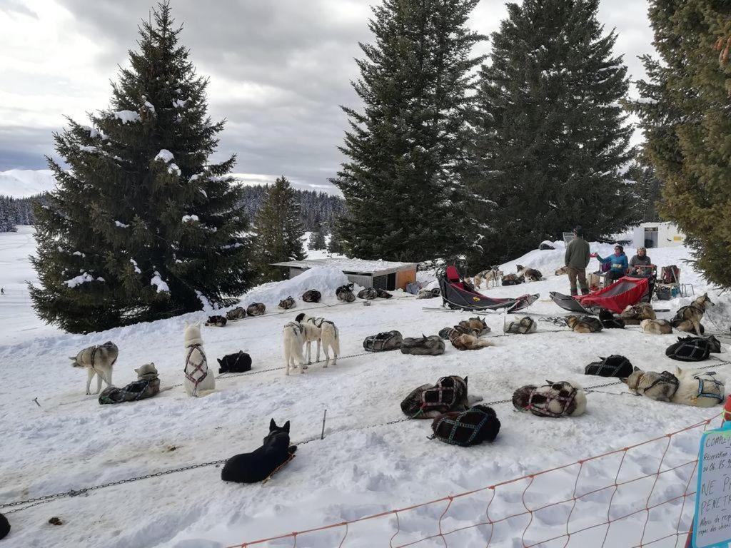 Cocoon à 100 M Des Pistes *
